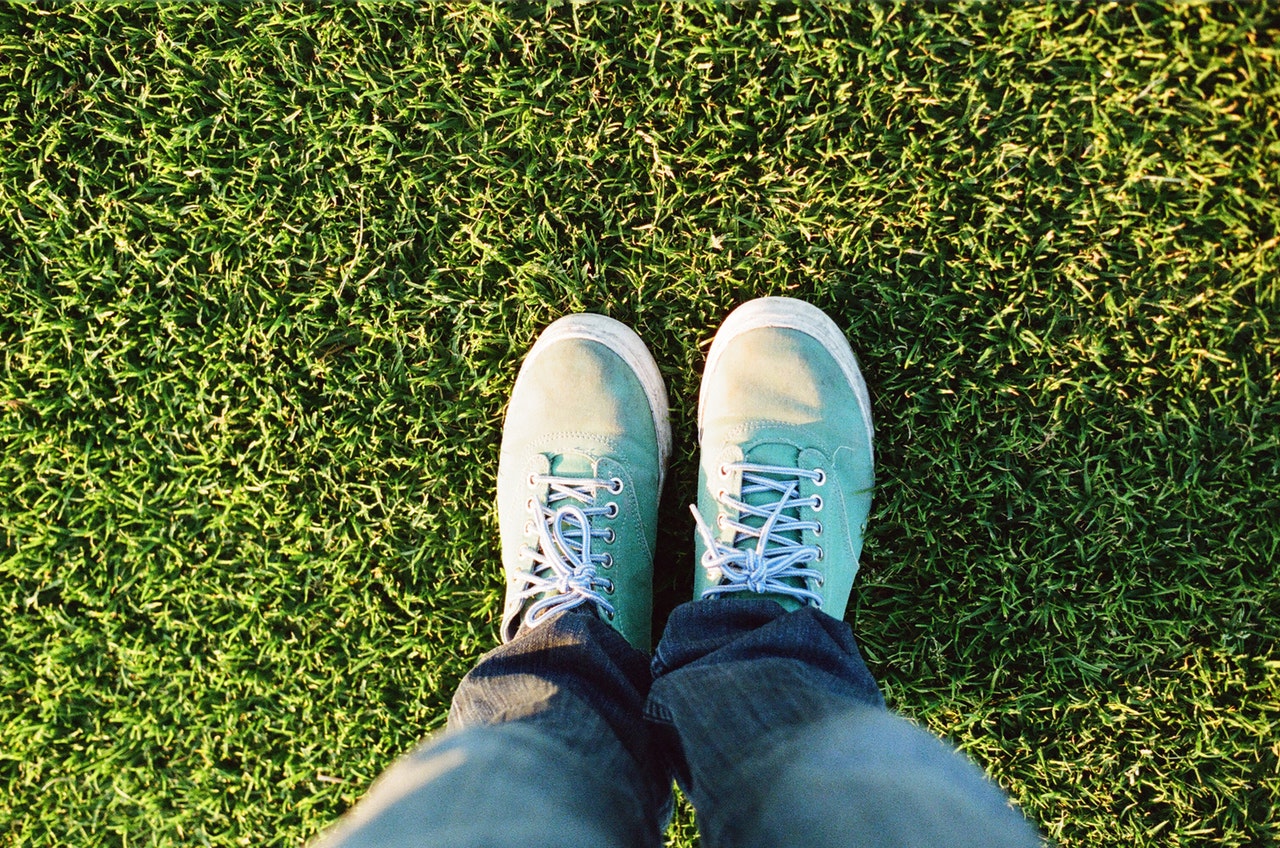 Types Of Grass For The Best Lawns In Perth Perth Building